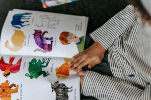 Visual Storytelling Training Course in Mauritius